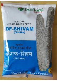 DF-SHIVAM (DF - 55BH)